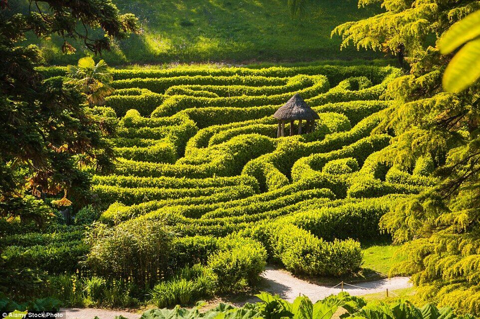 Ӣֶ׵¸ԹGlendurgan Garden<br /><p  align=