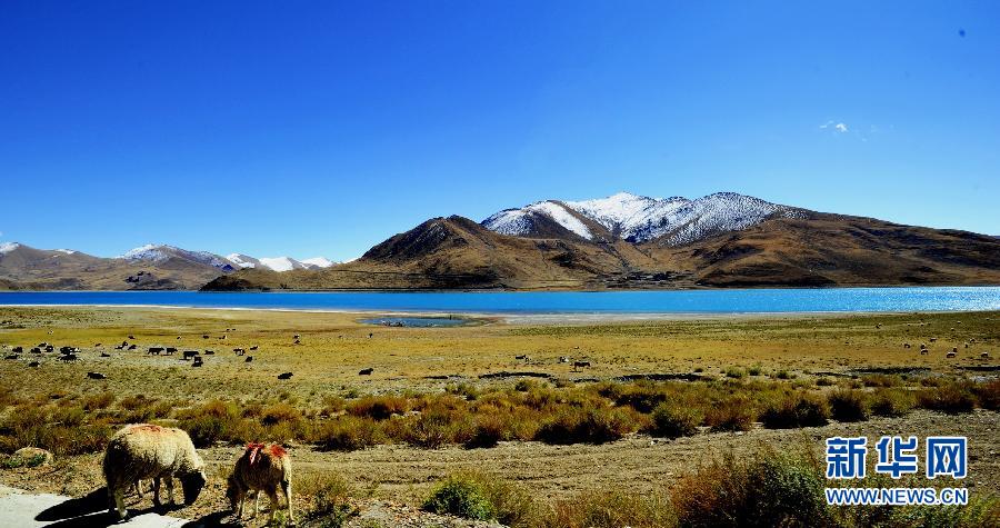 ����������3��������վ�ɫ����