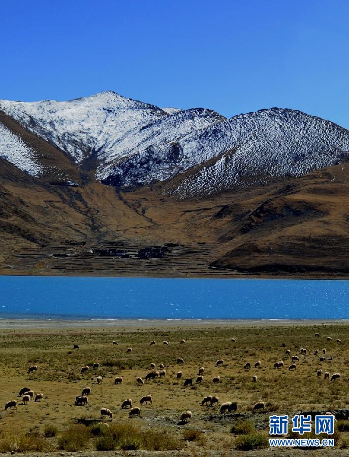 ����������2��������վ�ɫ����