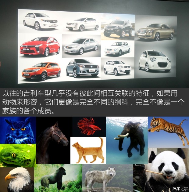 ����֮��