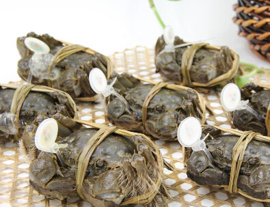 ��բз��ȱ����