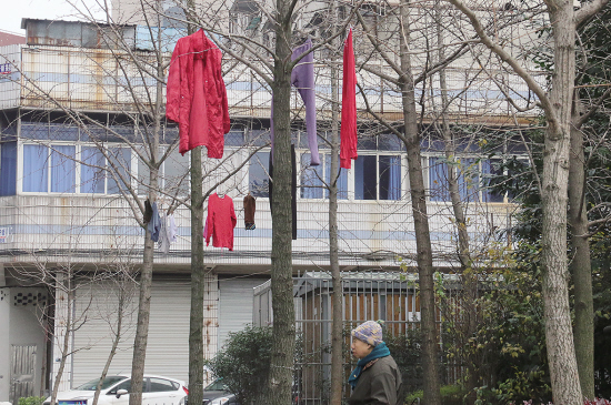 ����ɹ����ɷ�羰