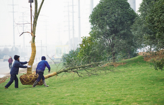 ������ֲ6��ƽ�����̻� 