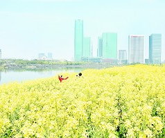 续 