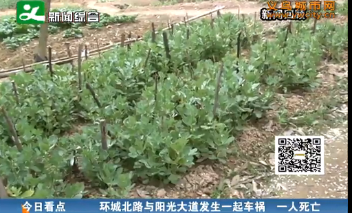 ��̬�ֱ�˽�Ҳ�԰