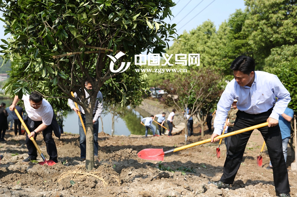 ��һ�쵼�ɲ�æֲ�� ��ʵ���ж���д�Ͷ�֮��