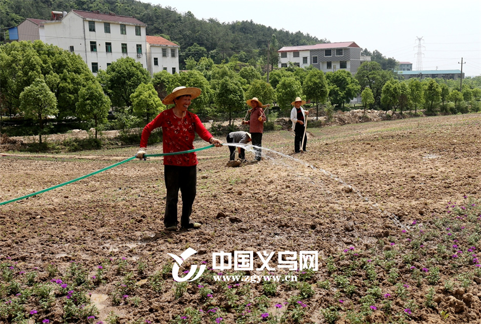 ��Ϫ�����������£�����һ��֥ӣ����