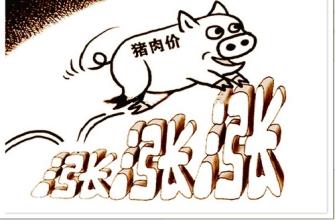 ���̵����ۣ���ĸ����׬Ǯ ��̭��ĸ��Ҳ������