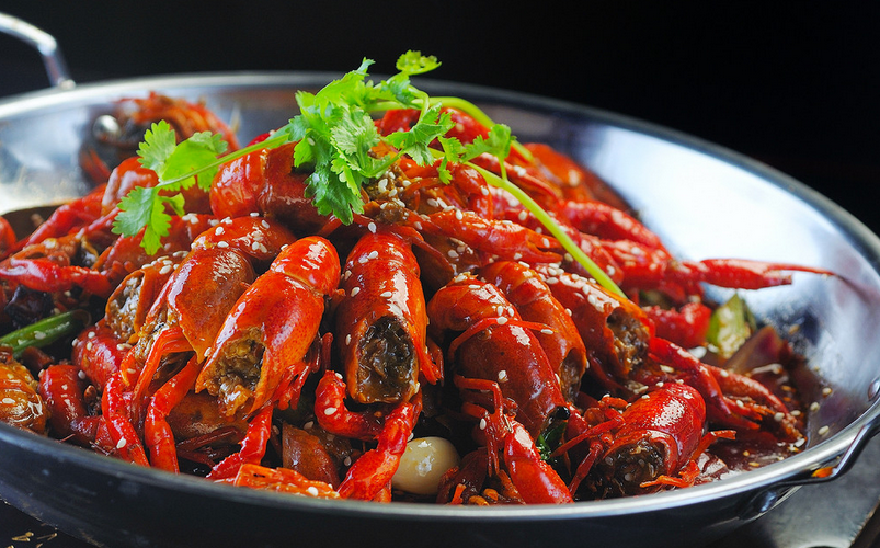 ŷ�ޱ���ս�������� ���ܳ�ľ���ֻ��С��Ϻ