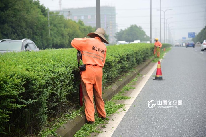 ���첻ͣЪ ����������·���ࡱ�������θ߳�