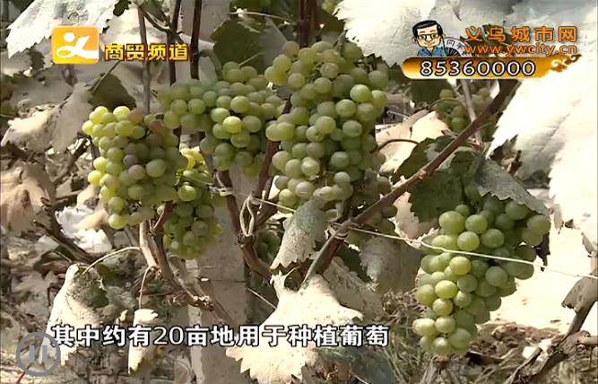 ���ѱ��� ũ������