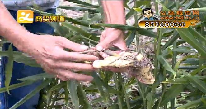 ������� ����ũ��Ʒ��ȫ