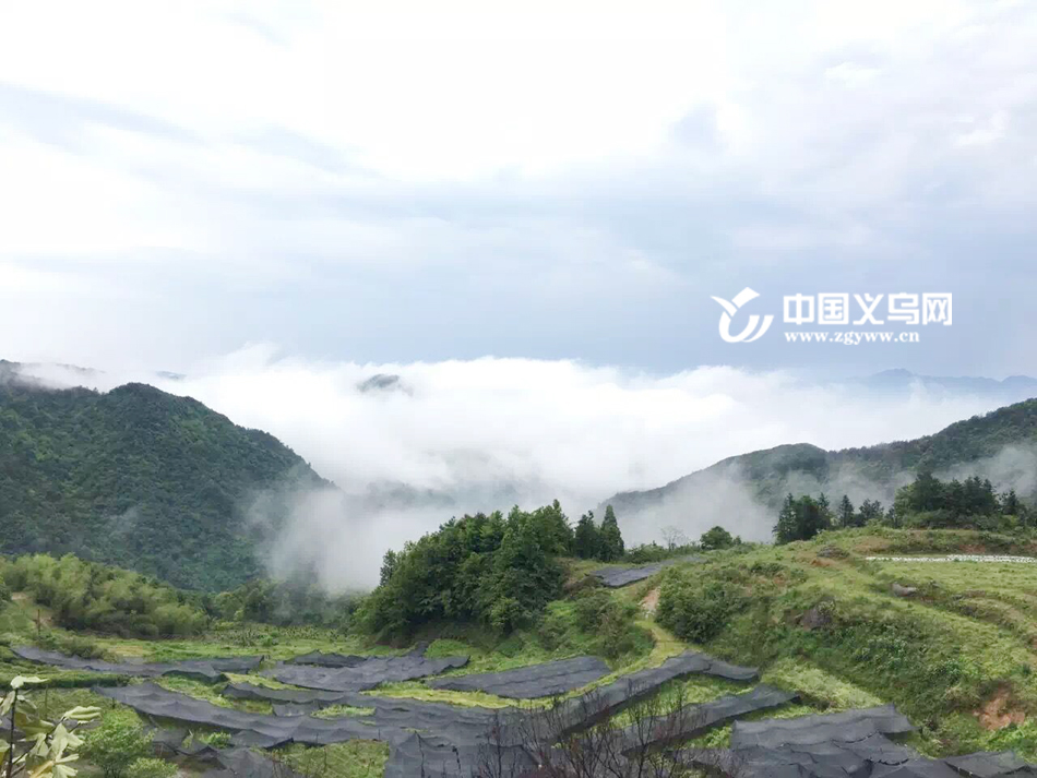 ��������֮����Ϫ��ƺ���ɸ�ɽ֮�衢Ʒ��������