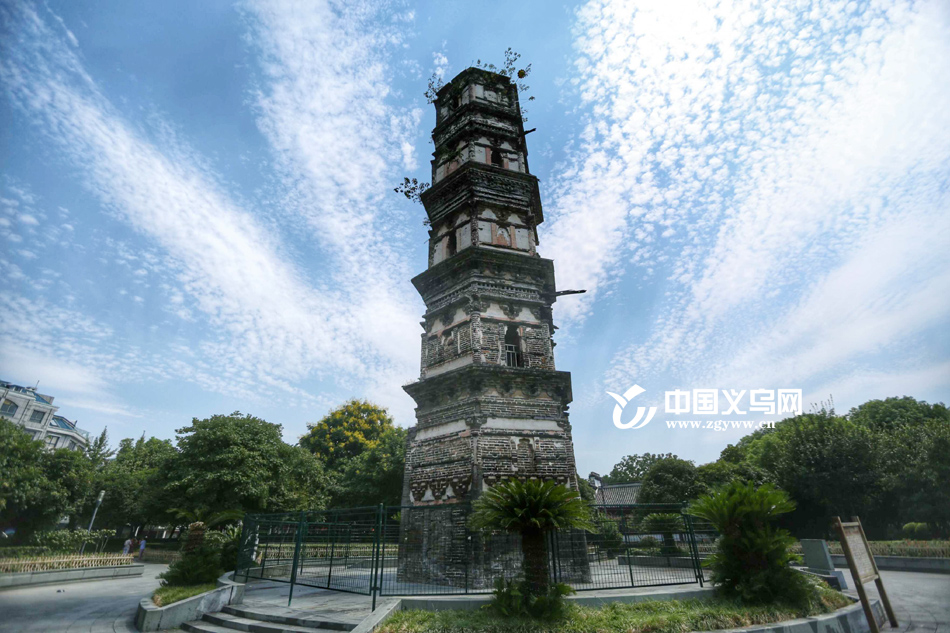 ������ճ��֡������ơ���ר�ң�����������