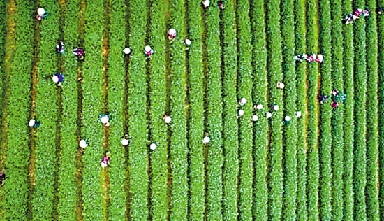 ����������Ʒ���� ������������Ʈ����