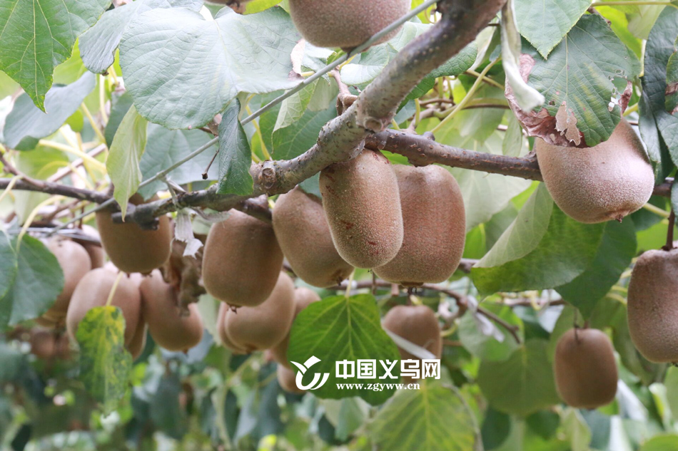 ���ҿ�������������ȥ���⨺��Ҳ�ժ�и���