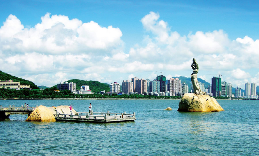 ��ʮһ��ȥ�Ķ��� ��Ʊ�ͻ�Ʊ����������������