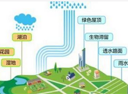 ������ɫ�ִ�������