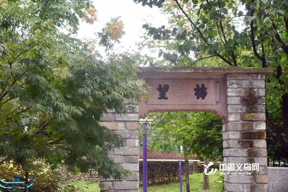 ��仨�� д����������������