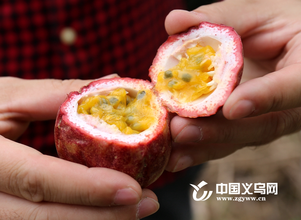 �����ˣ������ֳ������ֹ�����һ��ġ��������