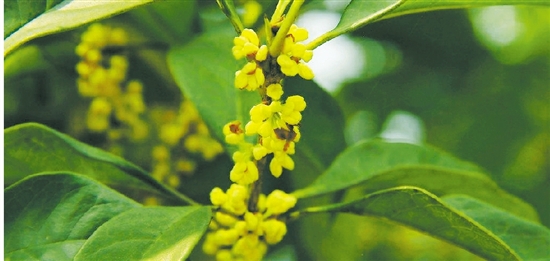 ժŹͷ㣬ȤȻ