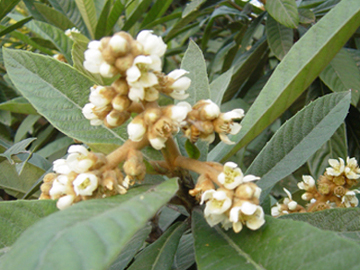 �㽭���ֻ�������ƽ� ÿ�����ۼ۾���6��Ԫ