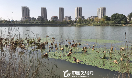 ��˿ ���� �����и�С����