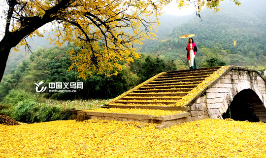 ǧ���һ�� ���ں�����ӡ�һҶ���ޡ�