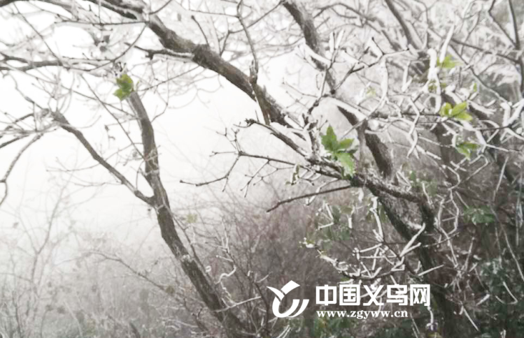 ���ڡ���ѩ��Ʈ�䱱ɽ��