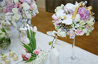 ���߷���ӭ�����û����� �۹����ɡ����