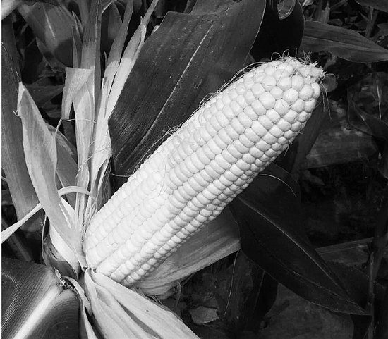 �㽭���������׵����ж�óԣ� ��������31��Ԫ