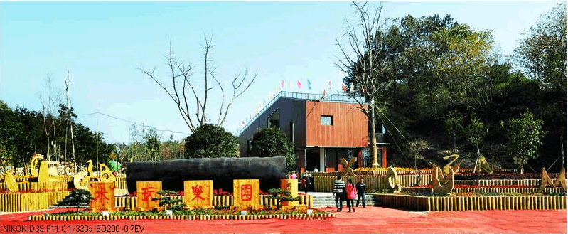 �����������´��챬���Ʒ �ƺ�ľ�����