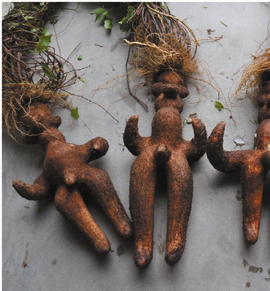 ���۰�Ԫ�ġ����κ����ڡ��������� ��Ȼ�����ϵ�