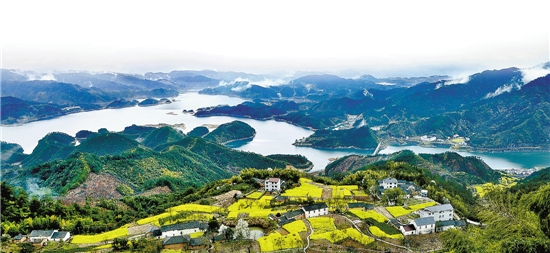 ����в�ͬ��ɫ �㽭�������Խ��Խ�����桱