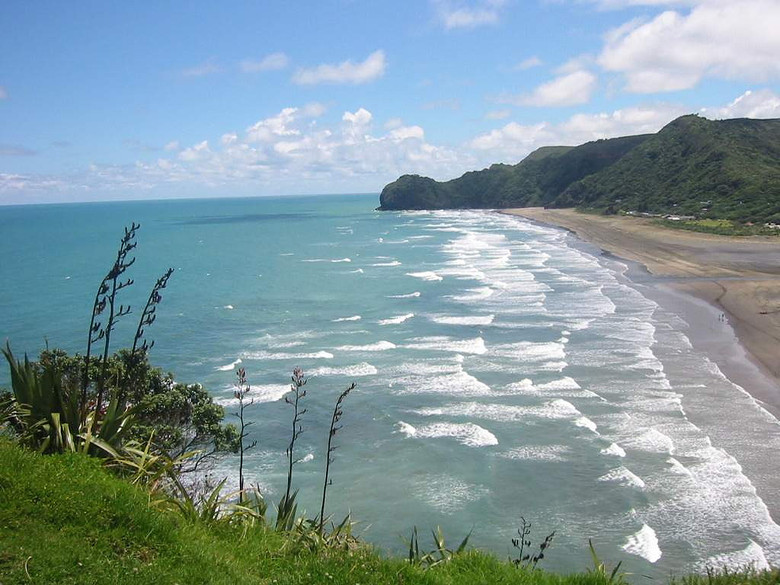 ���������㡱�����ƽ� 2016����״γ��ָֻ�����