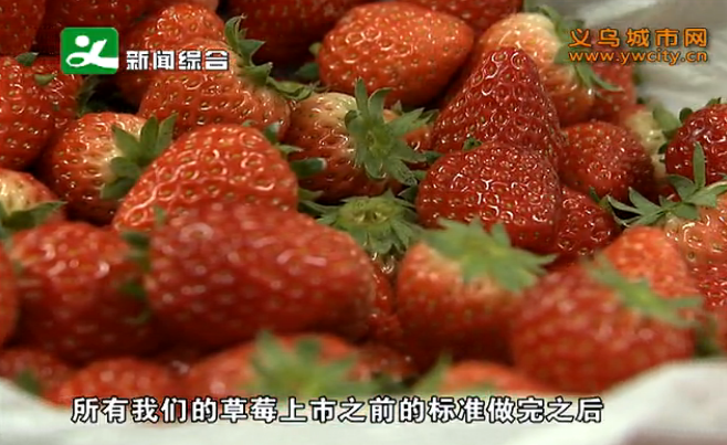 �������ֲ�ݮ������������