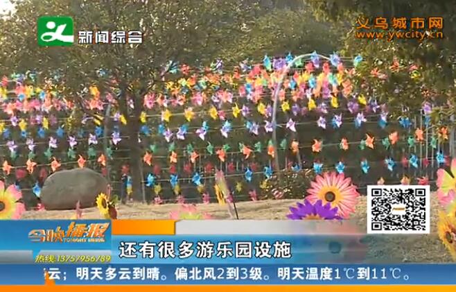 �����׽�糵�� 10��ֻ�糵ױ�ɲ�ɫ����