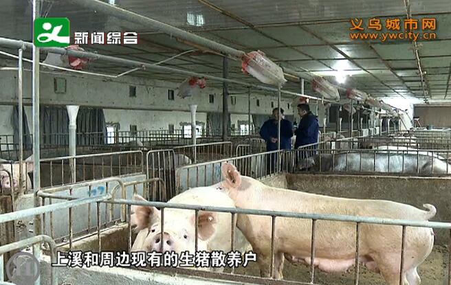 ũ�־֣��ӿ��ƽ�������崴��