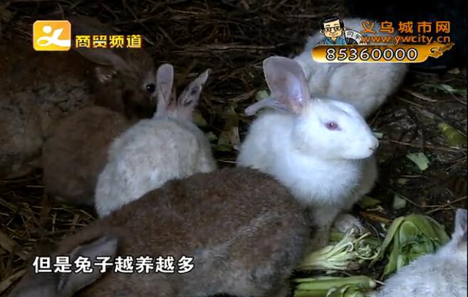 �Ϸ����������� ��ζѬ���ܲ���