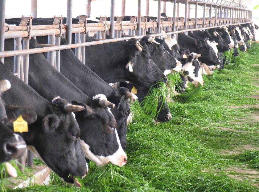 ��ҵ�¹��걨����СƷ��æ˦�� ����������Ծ�����߿���