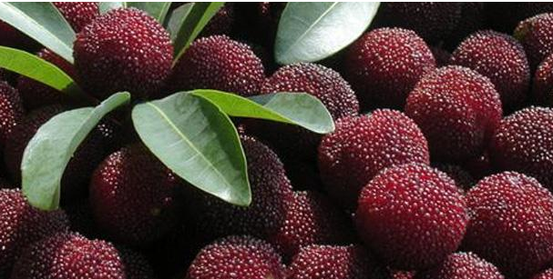 �����׵��ɾ���÷�������ô� ��600��1800����