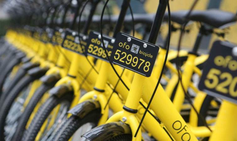 ��Х��̸Ħ�ݺ�OFO��û�кϲ�����