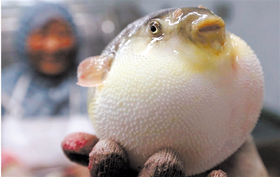 ���޶�������ÿ���ۼۻ�������Ԫ ��ҳ���