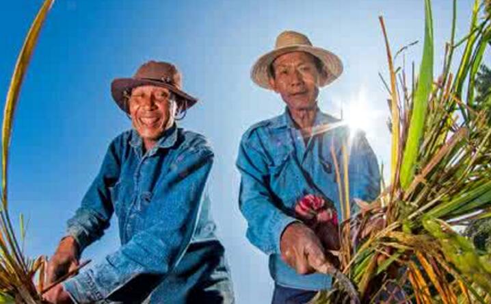 ������ũ����ְ����������Բ�����