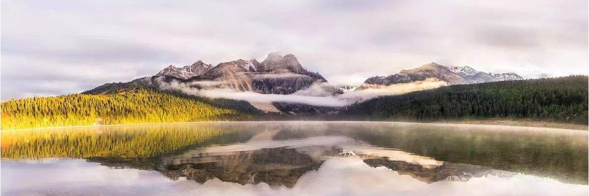 2017�������������������ȫ������ Ů�Գɻƽ�����������