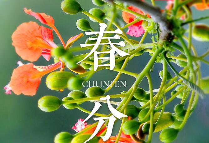 岩ɫз ӭ