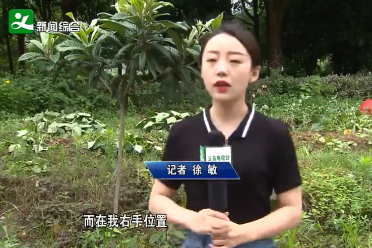 �����ֵ��������壺 �̻����ɲ�԰��