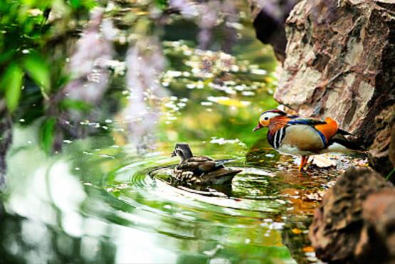 ����ԧ���á�ȫ������֤��