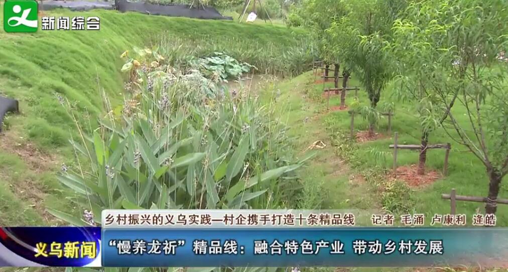 ��������������Ʒ�ߣ��ں���ɫ��ҵ ������巢չ