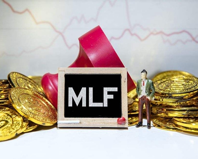 MLF׼ Ժԣ